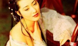 新金瓶梅电视剧,再现明代风华，揭秘西门庆传奇人生