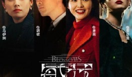 搜索连电视剧全集土豆,热门电视剧全集大汇总