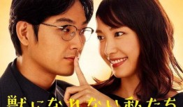 电视剧日剧,穿越时空的情感之旅