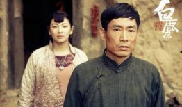 白鹿原电视剧全集在线观看,穿越历史的长河，探寻家族兴衰之谜