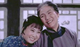 杨三姐告状电视剧,正义与复仇的交织