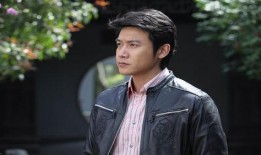 陆毅 电视剧,演绎时代变迁下的英雄传奇