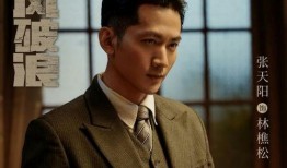 央视电视剧,揭秘时代变迁下的家国情怀