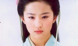 麒麟夫夫是哪个电视剧,穿越时空的甜蜜邂逅